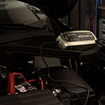 Mini_Seasonal-cn-aus-42.jpg